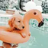 sarahtindle1 - @x.bestiexroblox.x21 - TikTok