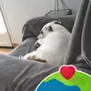 Sara Toledano Jamot - @sara.toledano.jam - TikTok