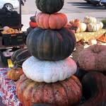 Sarah Tomac - @tomacpumpkins - Instagram