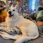 Sarah Torrez - @gin_bunny13 - Instagram