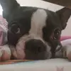 sarahtotten735 - @sarahtotten735 - TikTok