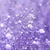 Sarah Stowers - @sarahstowers_ - TikTok