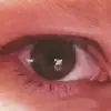 Sarah Trow - @sarahtrow - TikTok