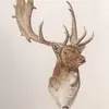 Sarah Trumble431 - @sarahtrumblepaints - TikTok