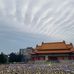 Sarah Tseng - Facebook