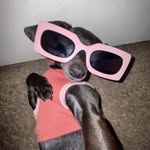 Sarah - @sarah.tuller01 - Instagram