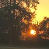 Sarah Tyree - @sarah.tyree - TikTok