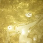 Sarah Tyson - @theprefectsbathroomcompany - Instagram