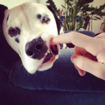Sarah Ullrich - @frido2011 - Instagram