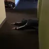 sarah.vacek - @sarah.vacek - TikTok