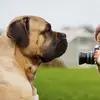 Sara Vanderwall - @sara.vanderwall - TikTok