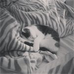 Sarah  Vanhoose - @itz_sarah__vanhoose - Instagram
