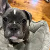 Sarah - @sarah_vankirk - TikTok