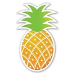 Sarah Vaught 🍍📖 - @square_root_of_pi - Instagram