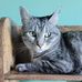 Sarah Veatch - Facebook