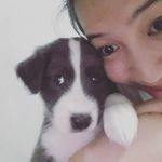 Sarah Dale Velarde - @sarahhhdale - Instagram