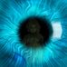 Sarah Vesely - Facebook