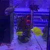 sarah.wakee - @sarah.wakeeeee - TikTok