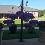 Sarah Waldner - @swarah917 - Instagram
