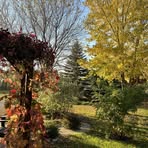 Sarah Waldner - Facebook