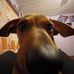Sarah Waldrip - Facebook