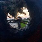 Sarah Waldrop Photography - @sandy.toes.salty.hair - Instagram