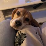 Sarah Wallin - @privatsarahh - Instagram