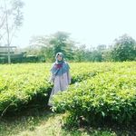 sarahwardatul140601 - @sarah_wardatul_hilwa - Instagram
