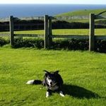 Sarah Wareing - @sarah_wareing - Instagram