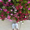 sarahwflores - @sarah_wash - TikTok