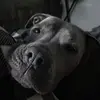 Sarah Weems - @sarahweems0 - TikTok