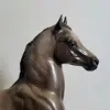 Sarah Wellman - @sarah.wellman1 - TikTok