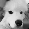 SarahJWellman - @sarahjwellman - TikTok