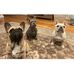 Sarah Wert - Facebook