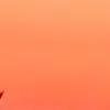 sarah.wester - @sarah.wester - TikTok