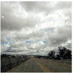 Sarah Westerman - @kiwijellybean - Instagram