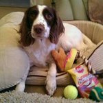 Sarah Westerman - @westerman.sarah - Instagram