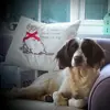 Sarah Westerman - @sarah.westerman0 - TikTok