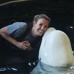 Sarah Westfall - @westfall_sarah - Instagram
