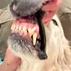 sarahwideman621 - @sarahwideman621 - TikTok