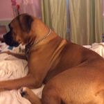 Love Softball_1519 - @sarahwildermuth - Instagram
