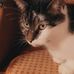 Sarah Wildermuth - Facebook