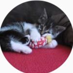 Sarah Wildermuth - @sarahwildermuth_2005 - Instagram