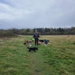Sarah Wilkinson - @sarahharrogatedogwalker - Instagram