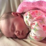 Sarah Willcox - @slwillcox64 - Instagram