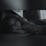 Sarah 🐺 - @sarah_winchester1502 - Instagram