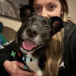 Sarah Windle - @sarahlbehm - Instagram