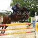 Sarah Witte Tierphysiotherapeutin - Facebook
