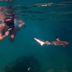 Sarah Womble - Facebook