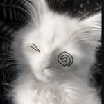 Sarah Word - @someone_weird6969 - Instagram